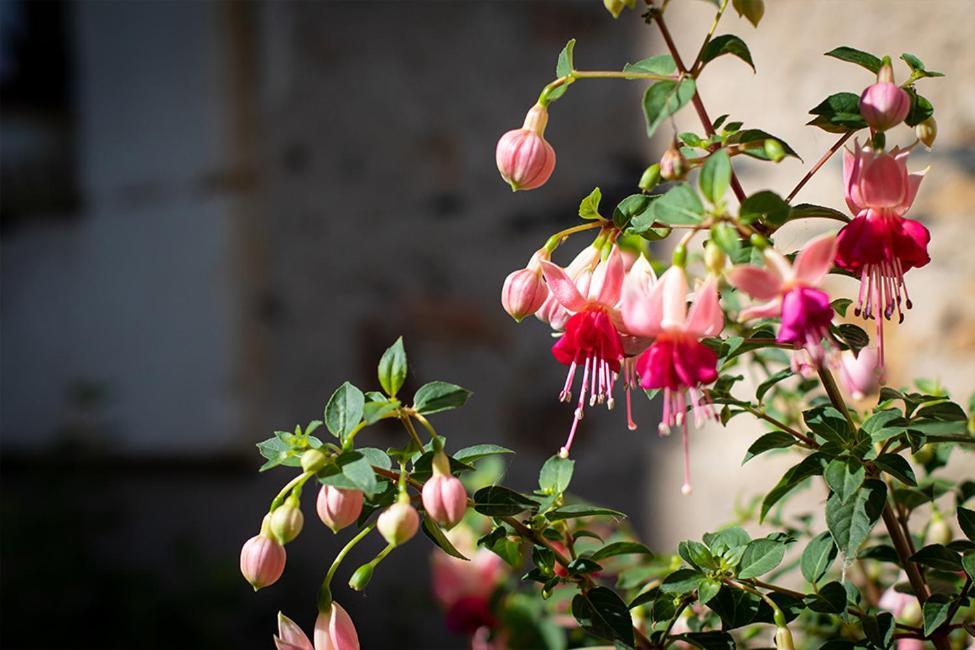 Confidences Escale A Brissac Bed & Breakfast Dış mekan fotoğraf